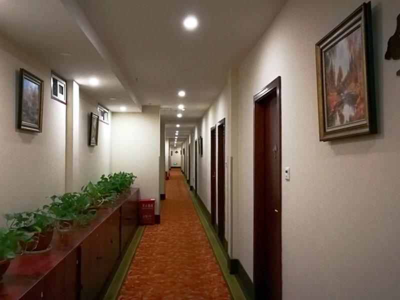Greentree Inn Jiangsu Nanjing South Railway Station South Square Express Hotel Buitenkant foto